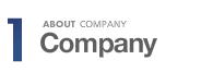 1 ABOUT COMPANY - Company
